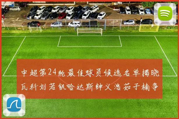 中超第24轮最佳球员候选名单揭晓瓦科刘若钒哈达斯钟义浩茹子楠争夺荣誉