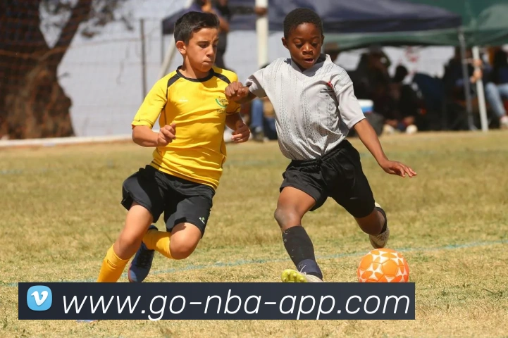 NBA买球网站平台生态图